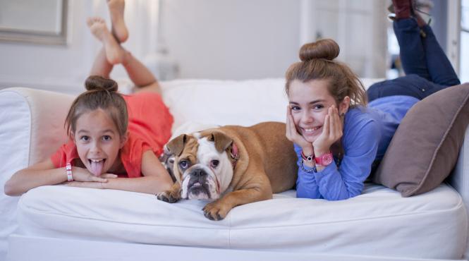 5 cele mai lenese rase caini