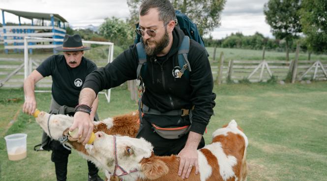 america express lider de audienta romica si catalin tociu au castigat imunitatea mica show plin de culoare pe strazile orasului ambato la cursa pentru ultima sansa