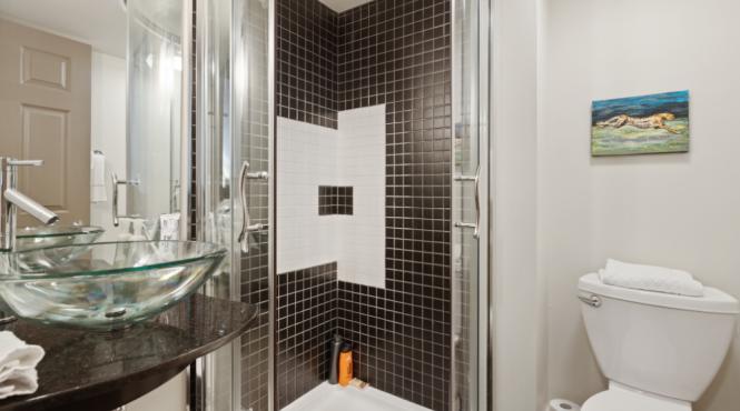 cabinele de dus care sunt optiunile potrivite pentru baia ta