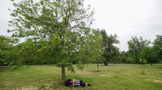 guvern sanctiuni beneficiari alocatii loc de munca