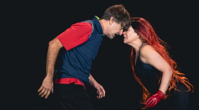 un nou spectacol cu visul unei nopti de vara pe 25 noiembrie la palatul national al copiilor o productie teatrul stela popescu