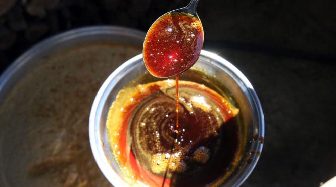 melasa trestie zahar beneficii intrebuintari