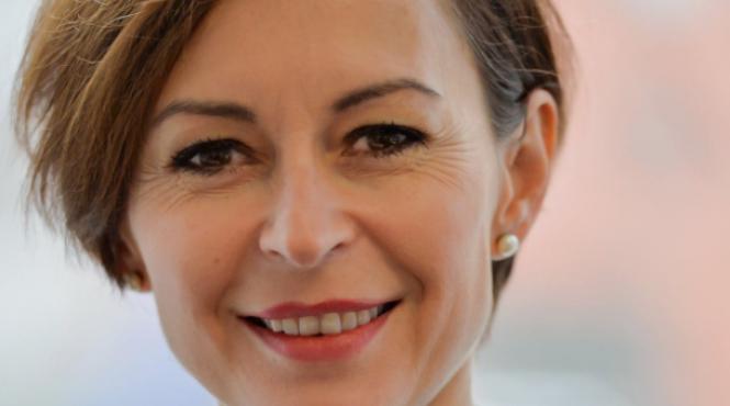 dana spinant primul roman director diretie comisia europeana