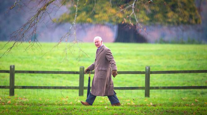 avertisment regele charles economia supravietuirea pericol daca nu restabilim rapid echilibrul naturii