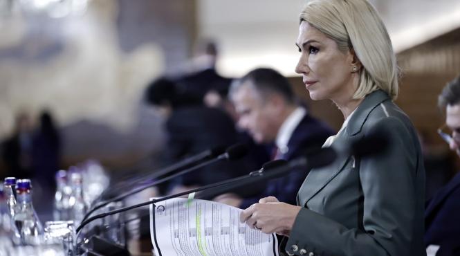 raluca turcan studiouri americane motion pictures association