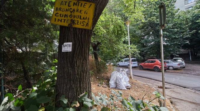 aruncare gunoaie mal rau amenda mare resturi vegetale ardere miristi