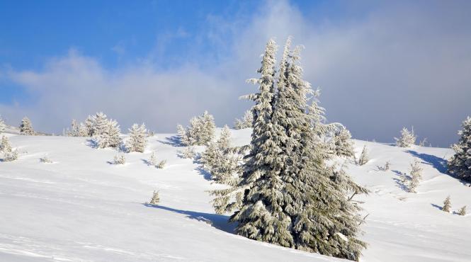temperaturi revelion prognoza meteo ianuarie