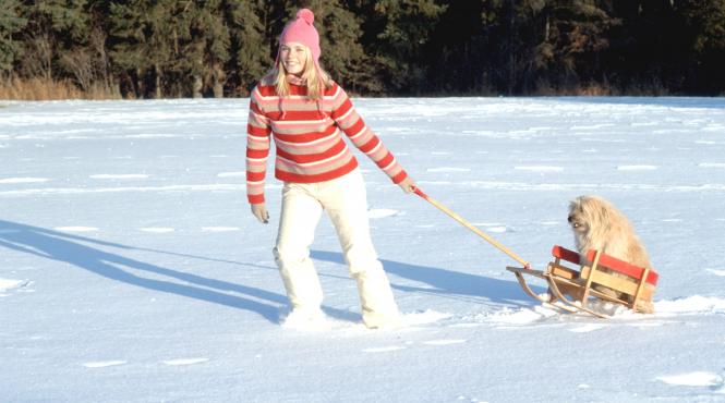 horoscop zilnic 8 decembrie 2023