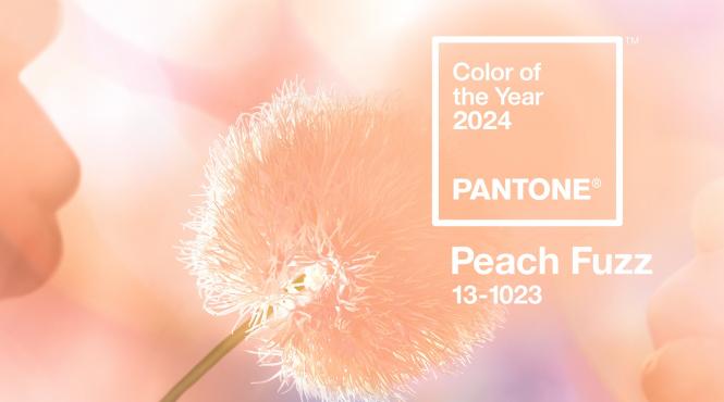 peach fuzz culoarea anului 2024 pantone