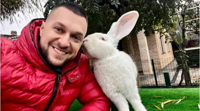 poveste icei mai mari iepuri mii euro investitii