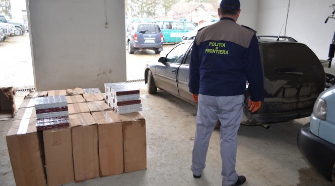 vamesi instruiti sua