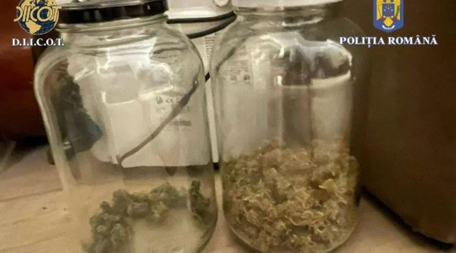 droguri constanta consum