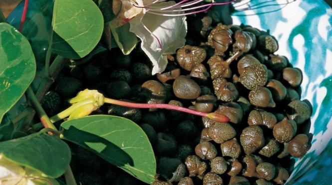 capere beneficii sanatate atentie efecte adverse