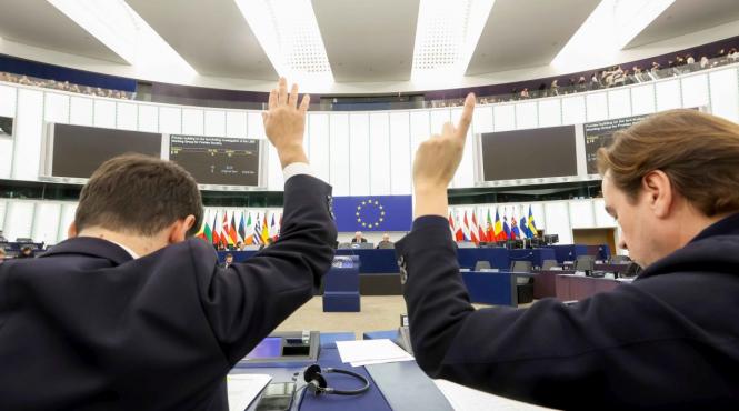 guvern institutie legislatie drepturi dezbatere sanctiuni directive ue