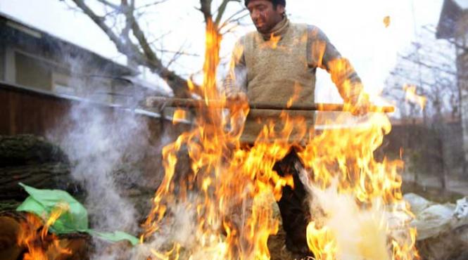 traditii ignat sacrificare porc sfant ignatie teoforu superstitii 20 decembrie