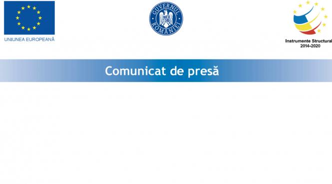 finalizarea proiectului diversificarea activitatii companiei auto smart activ srl