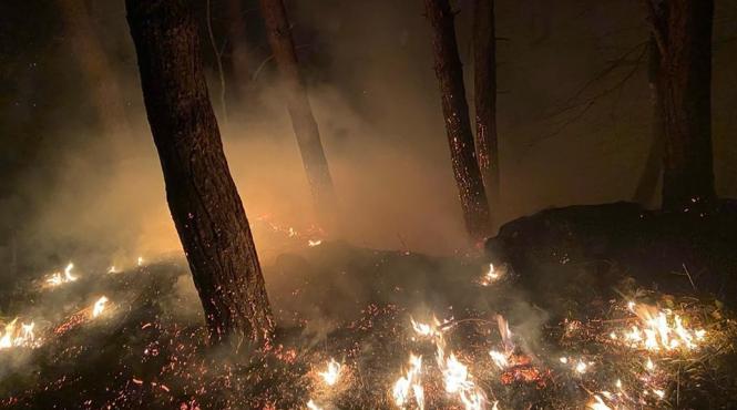 incendiu puternic de vegetatie uscata in moinesti