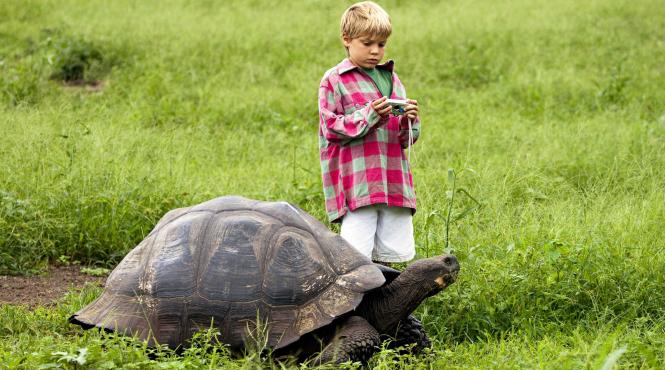 9 semne esti suflet batran intelepciune inteligenta emotionala introspectie