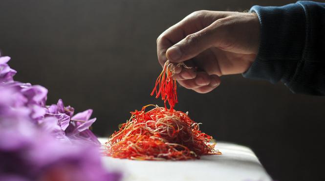 sofran aur rosu condiment pretios gust inconfundabil