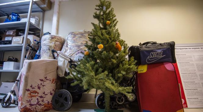 autoritati galatene reciclare pomi iarna