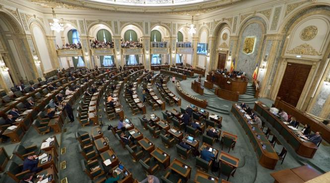 steluta cataniciu incriminarea abuzului putere pusl