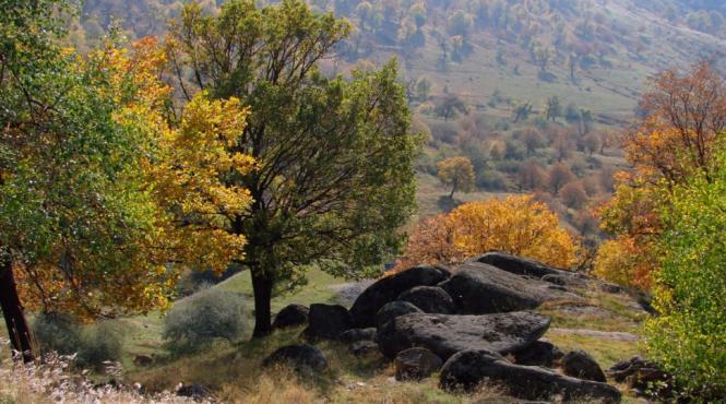 loc poveste preferat romani 2023 spectacol natura