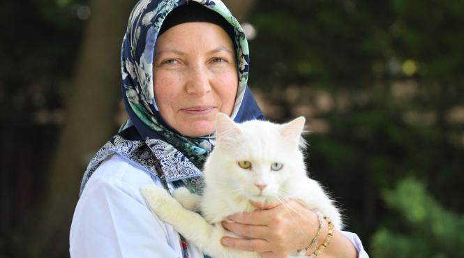 animalele companie previn dementa persoane varstnice singure