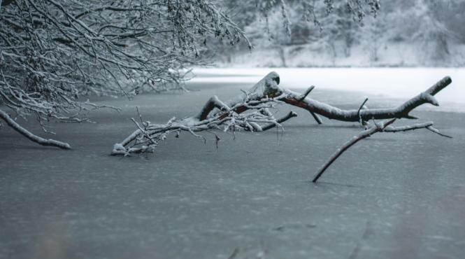 elena mateescu prognoza meteo ger iarna