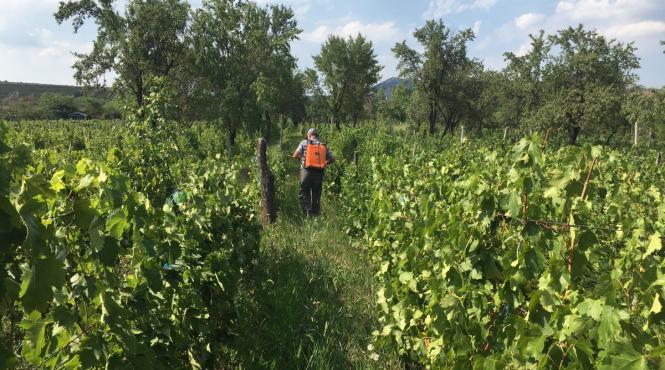 localitate romania nume amuzant xplicatie reala