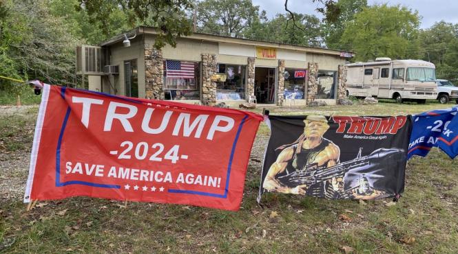 tari alegeri 2024 democratii