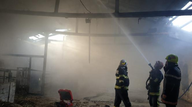 incendiu de proportii la o societate agricola din satu mare