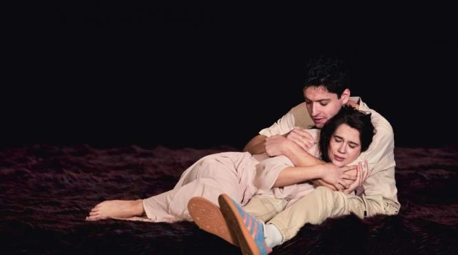 visul unei nopti de vara productie teatrul stela popescu pe 21 ianuarie la palatul national al copiilor