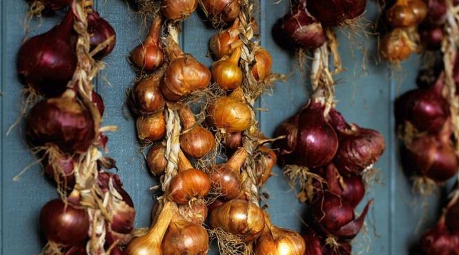 piaza expresie ghicit foi ceapa