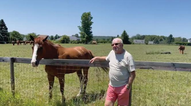 evaziune fiscala preturi cresteri solutii