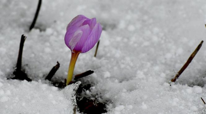 vreme neobisnuita februarie 2024 romania