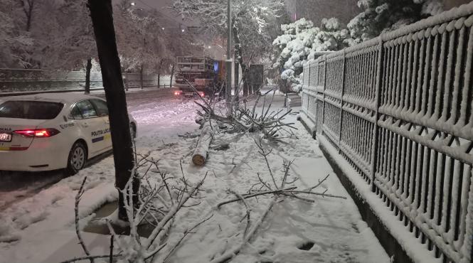 inundatii copaci cazuri drumuri inchise iarna romania