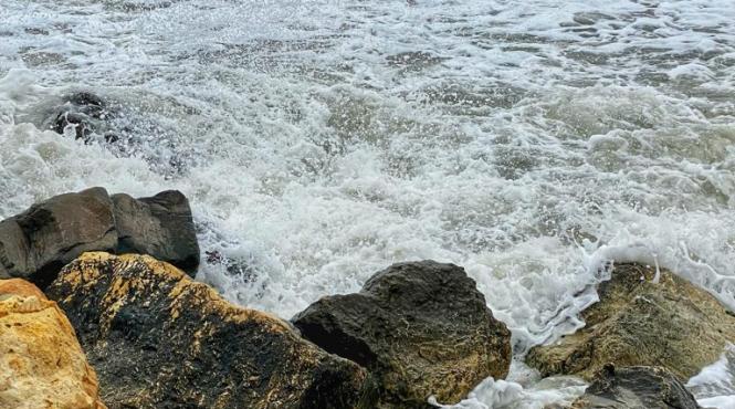 port constanta midia inchise vant puternic