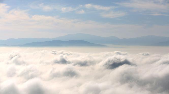 ceata densa lista locatilati 13 judete