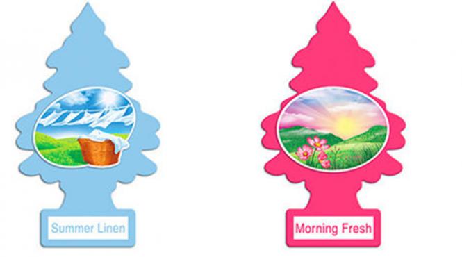 amenzi uriase braduti parfumati cruciulite parbris oglinda cod rutier 2024