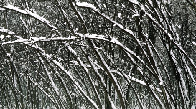 alerta imediata vant foarte puternic 100 km ora trei judete