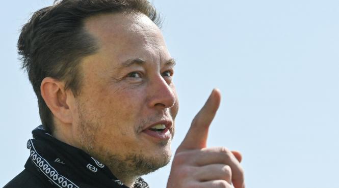 musk avere
