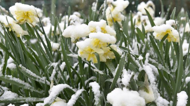 vreme inceput primavara frig ploi februarie martie 2024 meteo