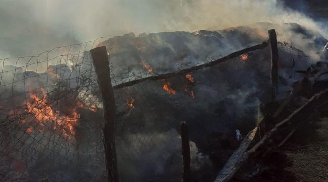 stana incendiu tetoiu