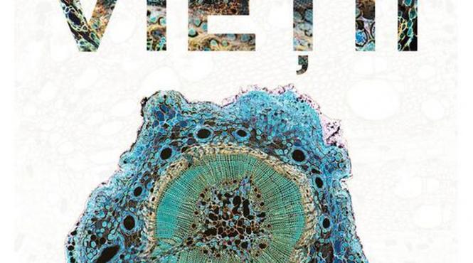 carti primavara adn sex constiinta moarte