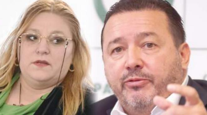 diana sosoaca razboi aur lista alegeri europarlamentare
