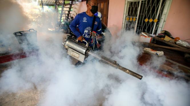 febra dengue stare urgenta brazilia tantari simptome