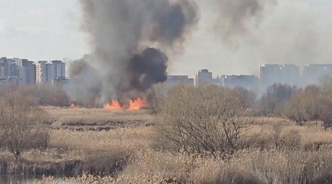 incendiu vegetatie delta vacaresti