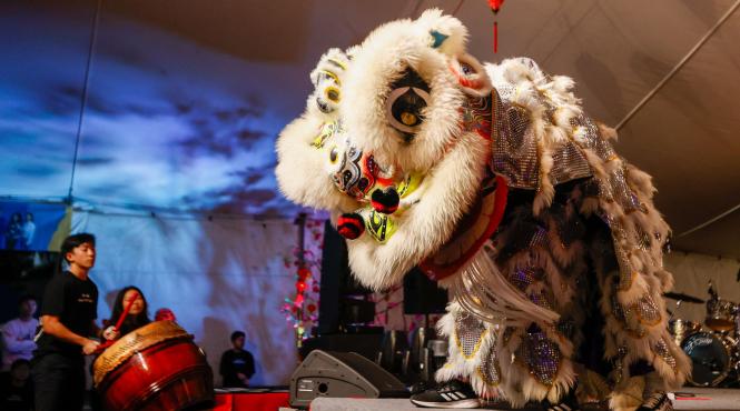 noul an chinezesc sarbatorit vietnam preparat culinar traditional