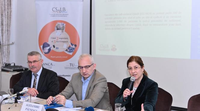 csalb litigii credite banci datornici