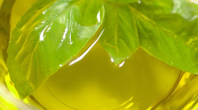 ulei masline aromatizat infuzat rozmarin presat rece ierburi